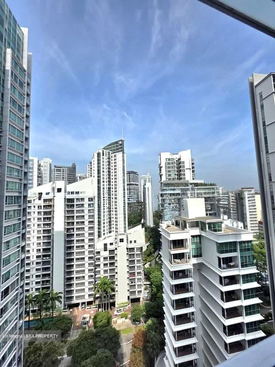 Park Infinia At Wee Nam (D11), Condominium #626834531